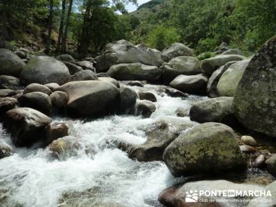 Parque Nacional Monfragüe - Reserva Natural Garganta de los Infiernos-Jerte;senderismo singles madr